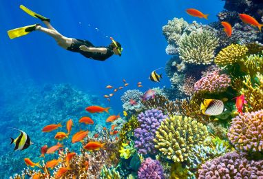 ЕКСКЛУЗИВНИ ОТСТЪПКИ - Почивка в Шарм ел Шейх, Египет със самолет от София - 7 нощувки